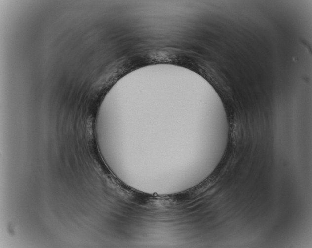 X0000103960466200809191338