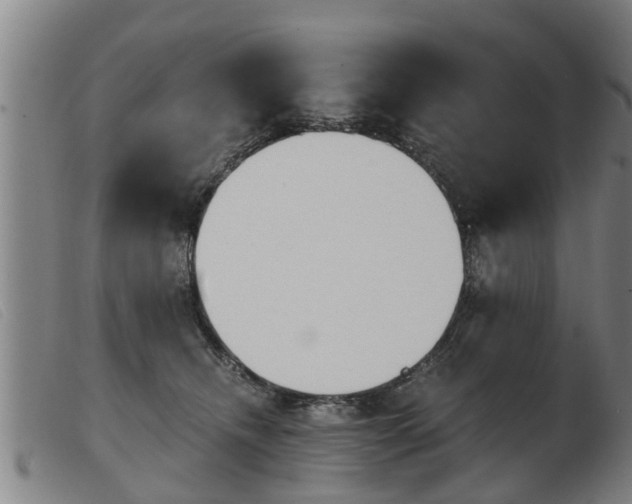 X0000103960468200809191338