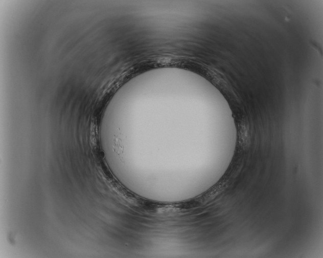 X0000103960470200809191338