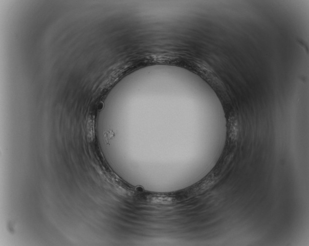 X0000103960471200809191338