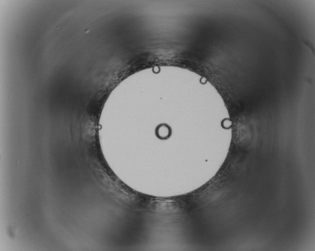 X0000103960472200809191338