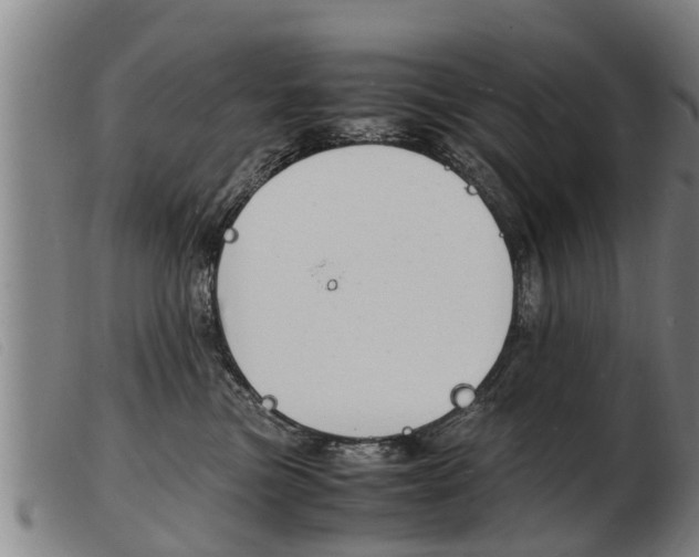 X0000103960473200809191338