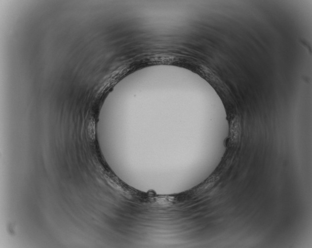 X0000103960474200809191338