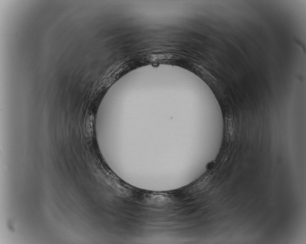 X0000103960475200809191338
