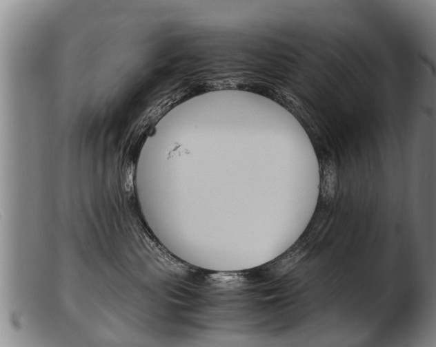 X0000103960477200809191338