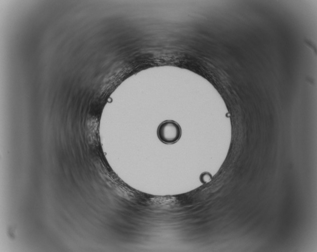 X0000103960480200809191339