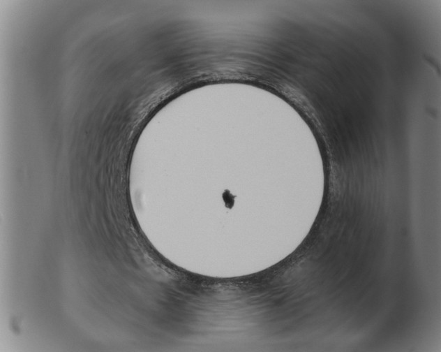 X0000103960481200809191338