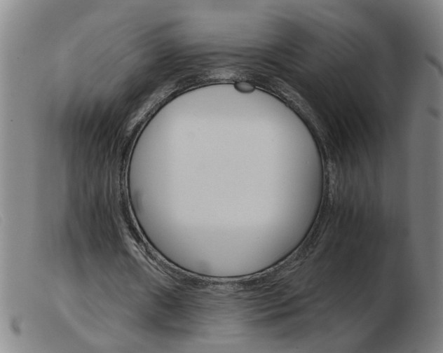 X0000103960482200809191338