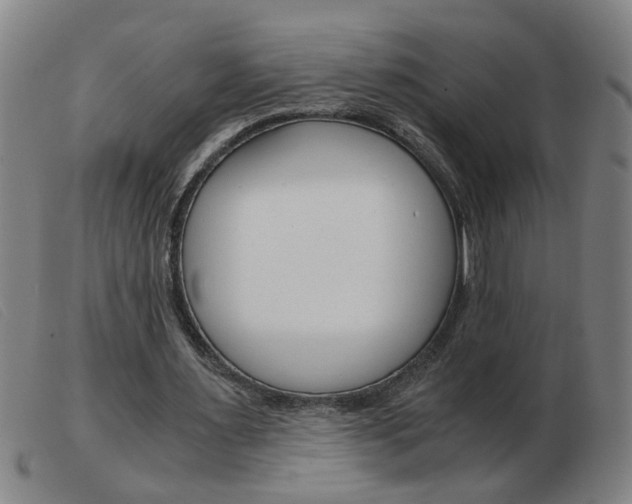 X0000103960483200809191338