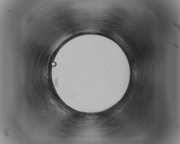 X0000103960484200809191338