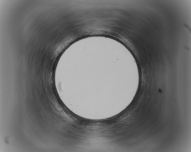 X0000103960485200809191338
