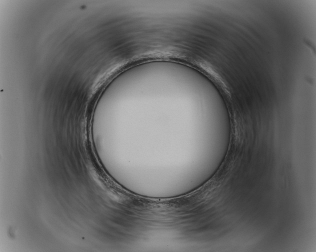 X0000103960486200809191338