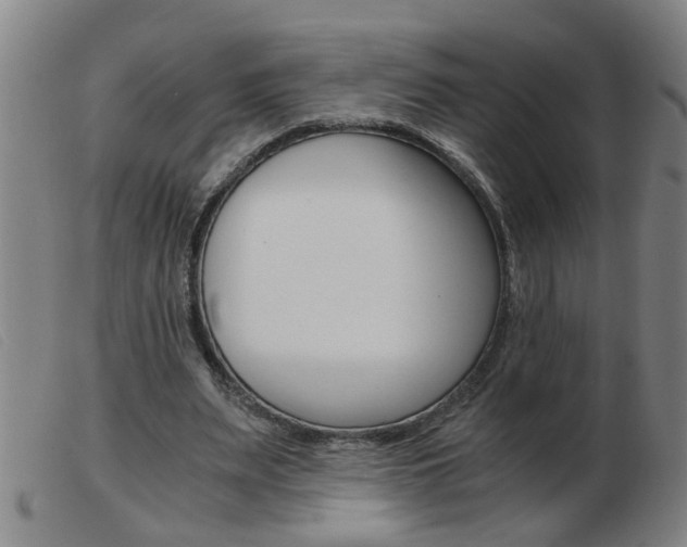 X0000103960487200809191338