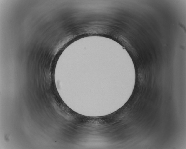 X0000103960488200809191338