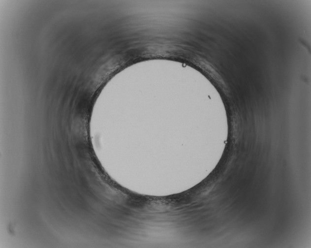 X0000103960489200809191338