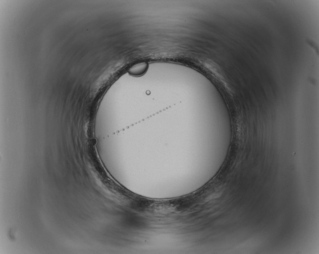 X0000103960491200809191338