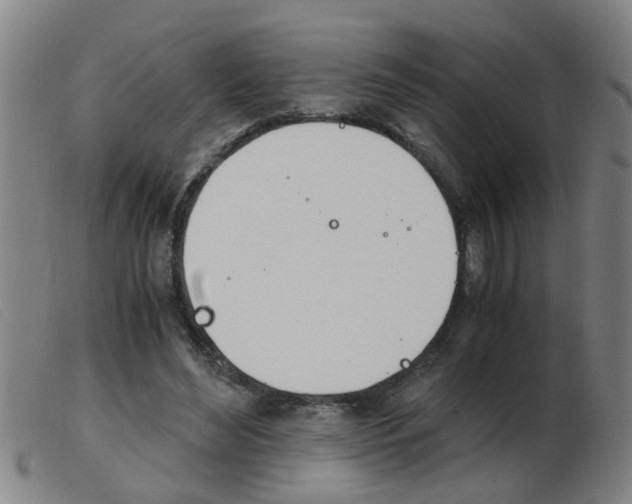 X0000103960492200809191338