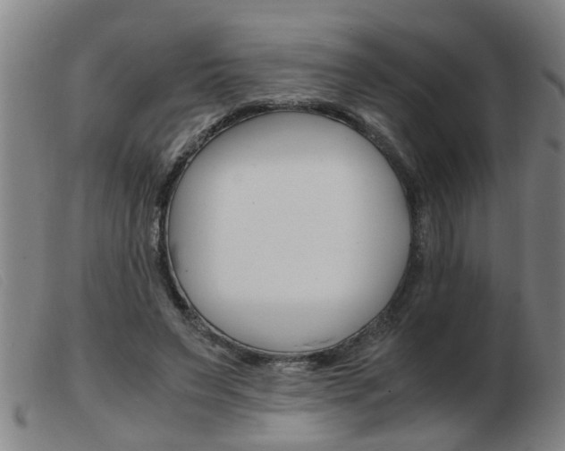 X0000103960495200809191338