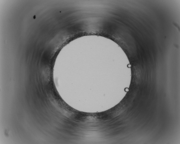 X0000103960496200809191338