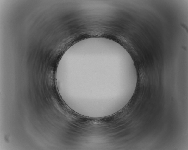 X0000103960498200809191338