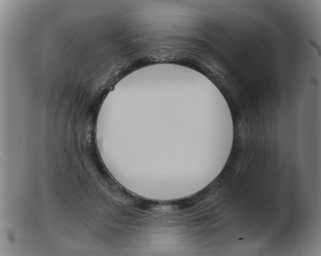X0000103960499200809191338
