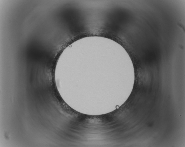 X0000103960500200809191338