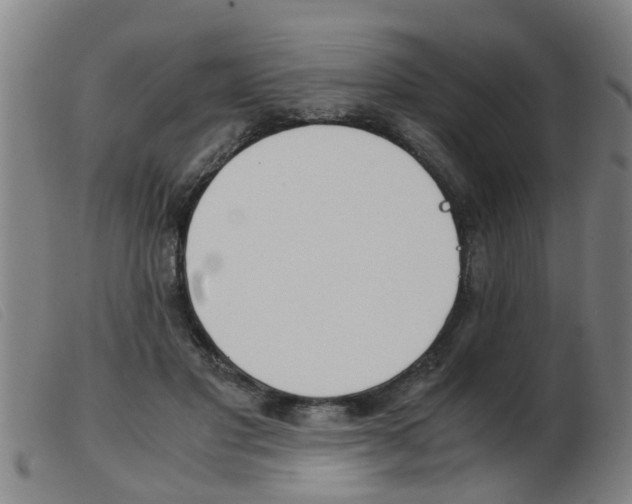X0000103960501200809191338