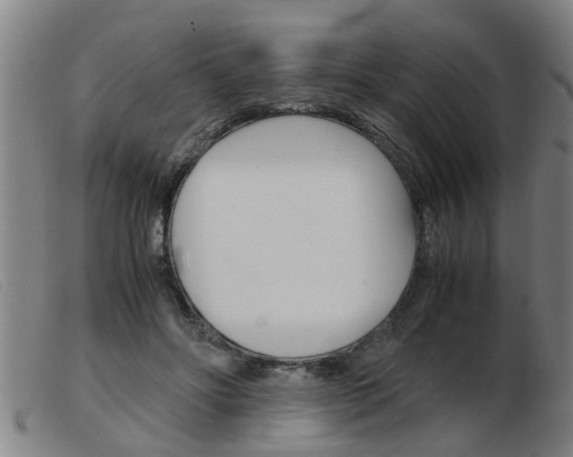 X0000103960502200809191338