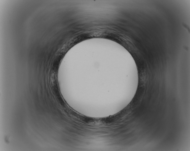 X0000103960503200809191338
