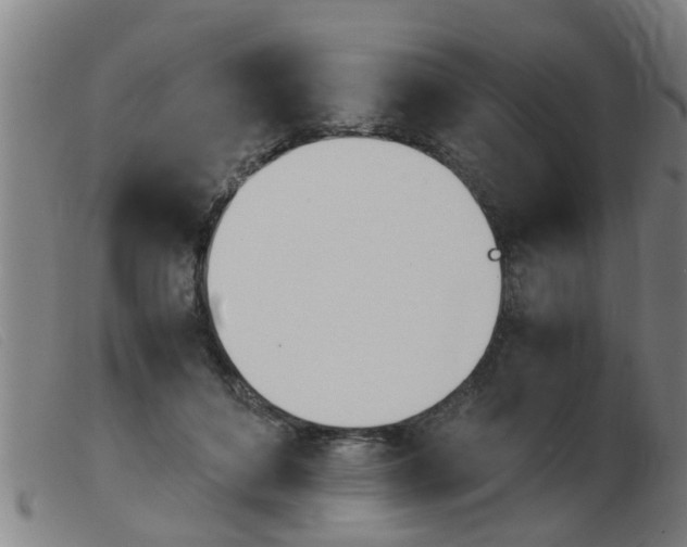 X0000103960504200809191338