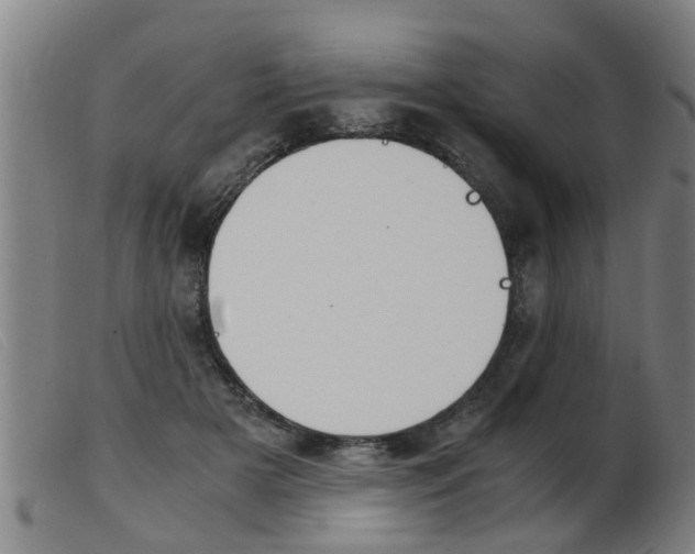 X0000103960505200809191338
