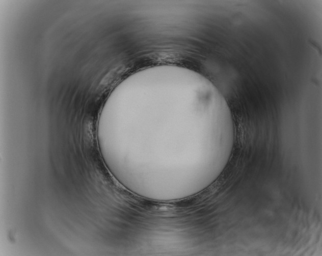 X0000103960506200809191338