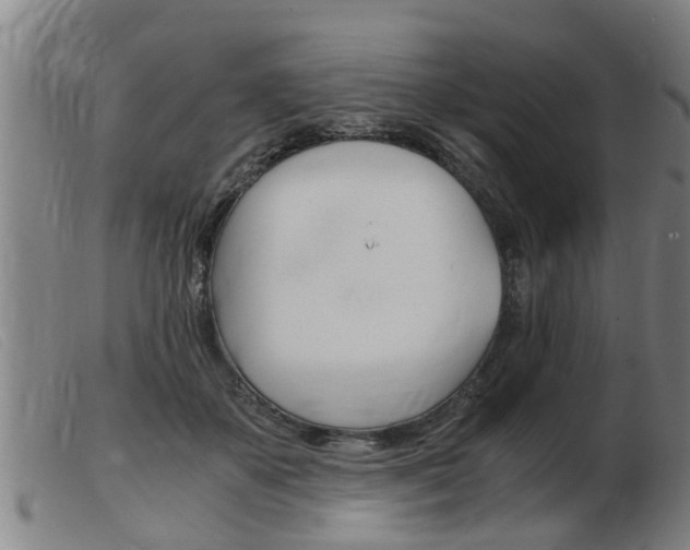 X0000103960507200809191338