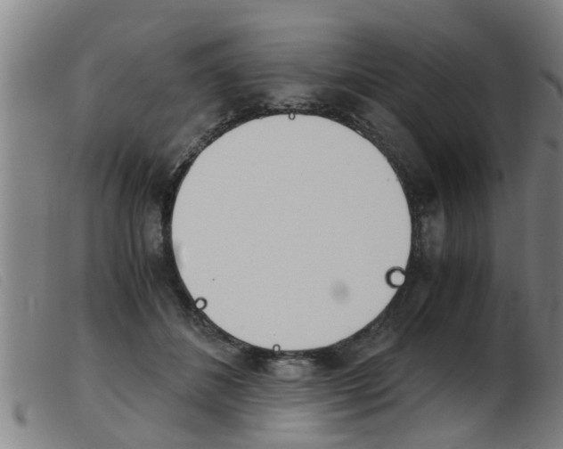 X0000103960508200809191338