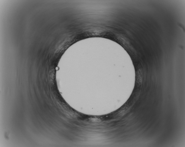 X0000103960509200809191337