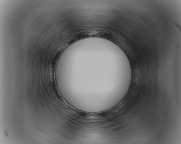 X0000103960510200809191337