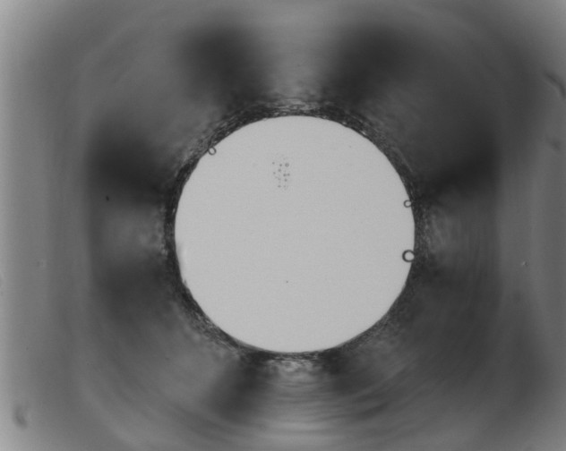 X0000103960512200809191337