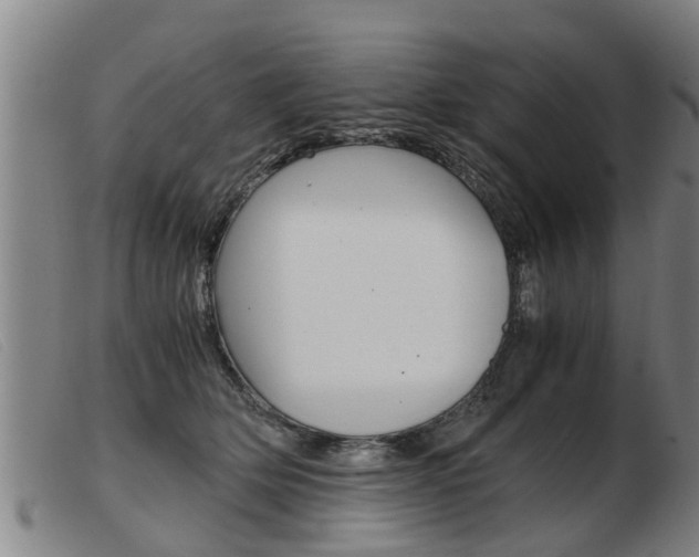X0000103960514200809191337