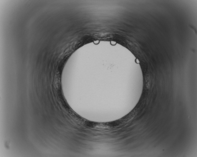 X0000103960515200809191337