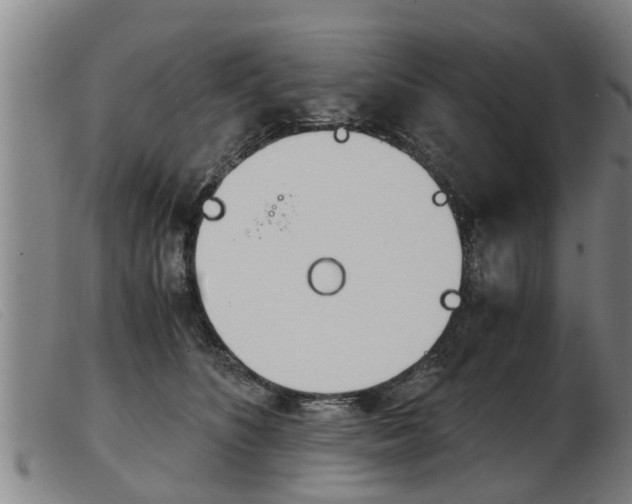 X0000103960516200809191337