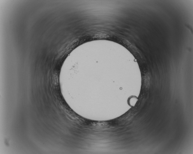 X0000103960517200809191337