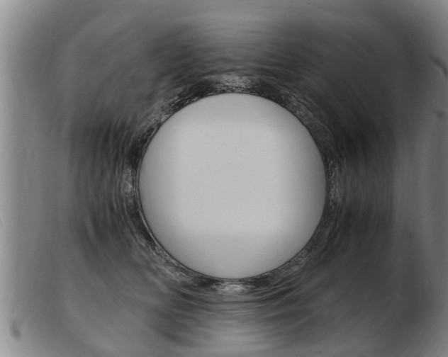 X0000103960518200809191337