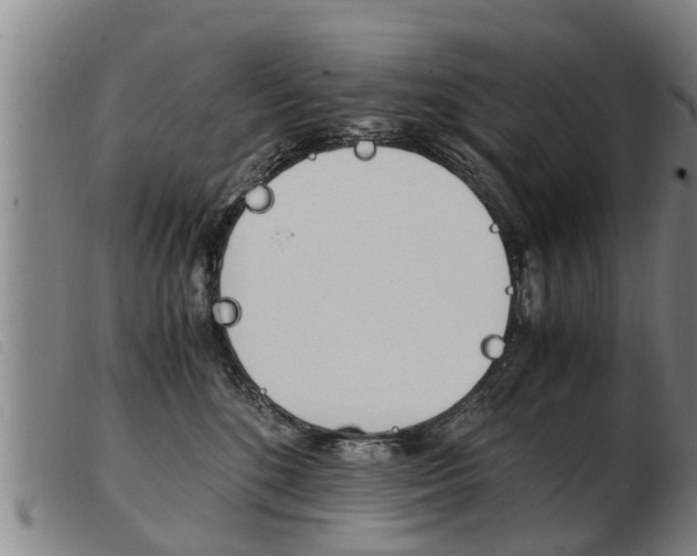 X0000103960520200809191337