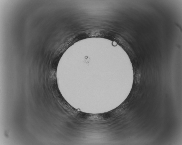 X0000103960521200809191337