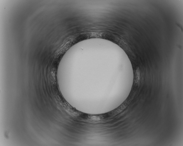 X0000103960522200809191337