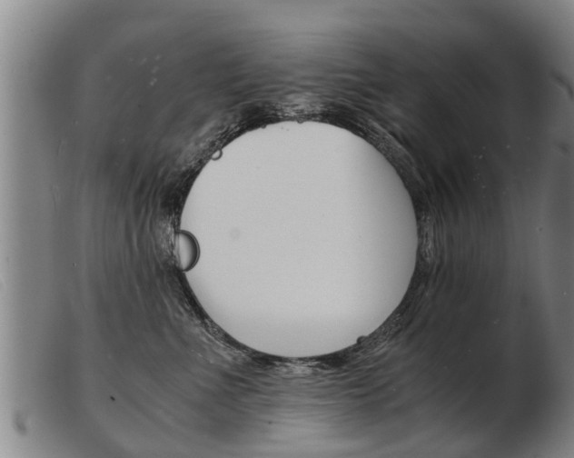 X0000103960523200809191337
