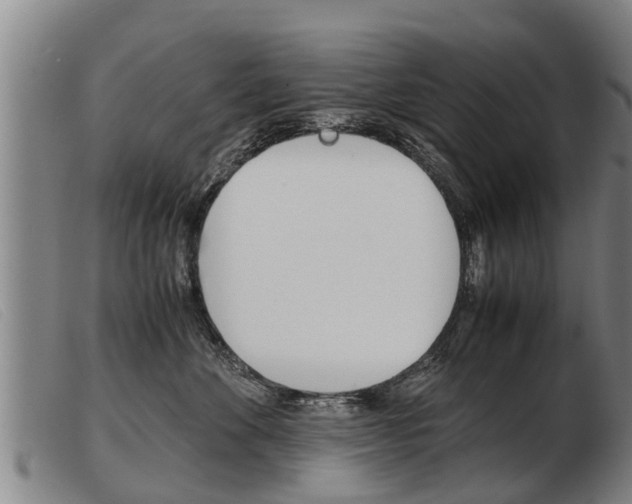 X0000103960524200809191337