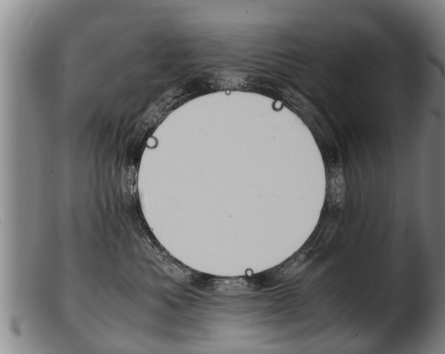 X0000103960525200809191337