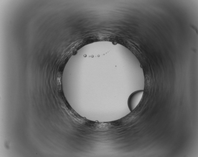 X0000103960527200809191337
