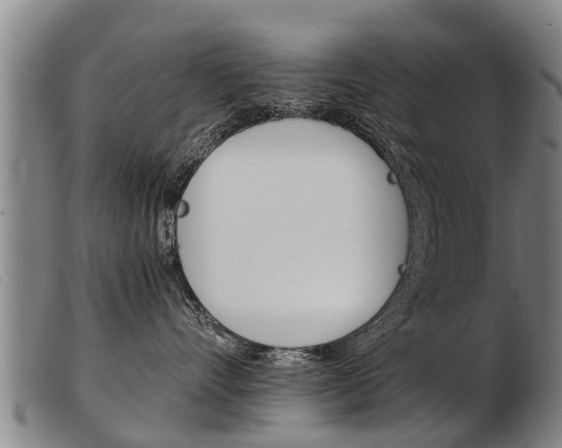 X0000103960528200809191337